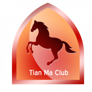 Tian Ma
